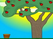 Apples