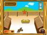Chicken run