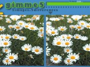Gimme 5