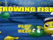 Growing fish