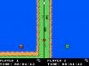 Squigly fish racer