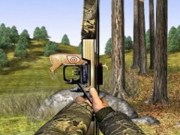 Bow hunter target challenge