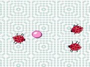 Bugs are coming