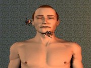Cockroach dream