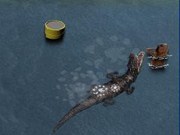 Croc alley