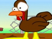 Fat turkey