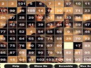 Mega puzzle