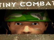 Tiny combat