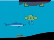 Treasure seas
