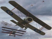 Dog fight the great war