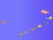 Fish school
