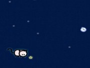 Flying cat