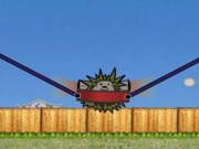 Hedgehog launch