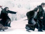 The chronicles of narnia