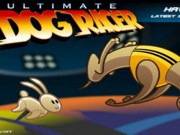 Ultimate dog racer