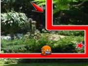 Wiggi rush