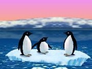 Turbo penguins